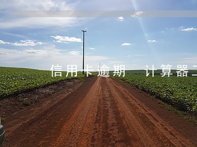 信用卡逾期 计算器工具 信用卡逾期 计算器工具